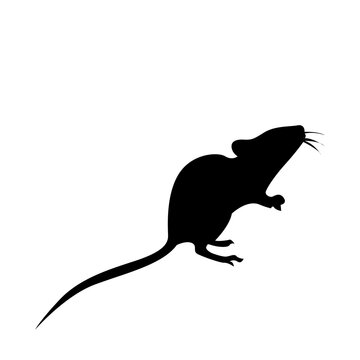 vectorized black silhouette of a mouse.