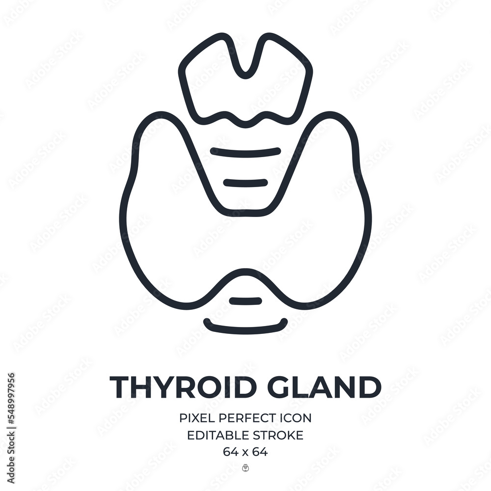 Canvas Prints thyroid gland editable stroke outline icon isolated on white background flat vector illustration. pi
