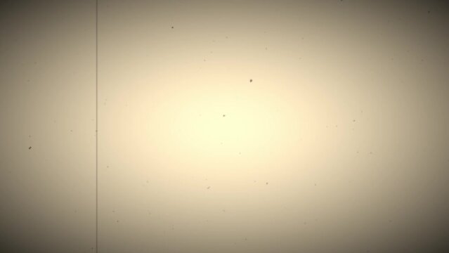 Vintage Old TV Blank Screen White Dust Splotch Vintage Damaged Film Leader Texture 