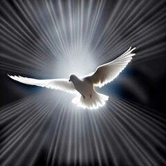 flying dove in rays of light - obrazy, fototapety, plakaty
