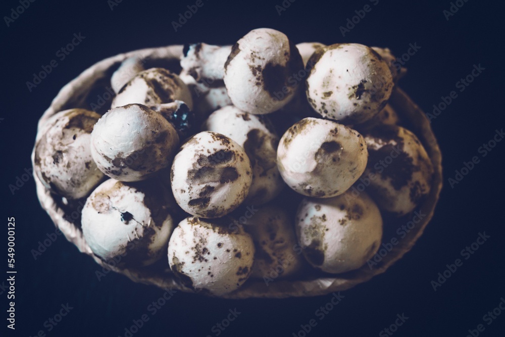 Wall mural Fresh mushroom on a bowl isolated on a black background