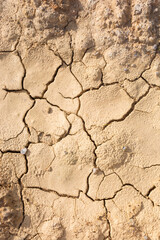 Relief of the earth after the drought caused by global warming