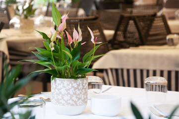 elegantly served outdoor tables in a restaurant in Verona, Italy