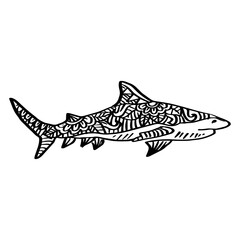 Shark drawing. Shark Zentangle style