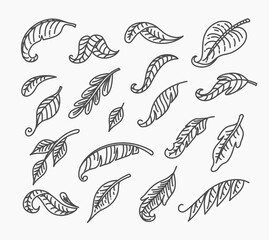 Beautiful set of vector thin line style decorative leaves