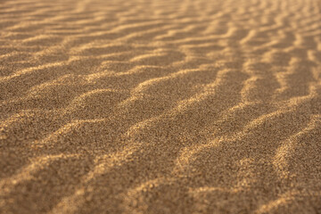 Golden Sand Sparkles Across Surface of Dunes