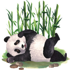 Watercolor Funny Panda In Bamboo Clipart © Julia