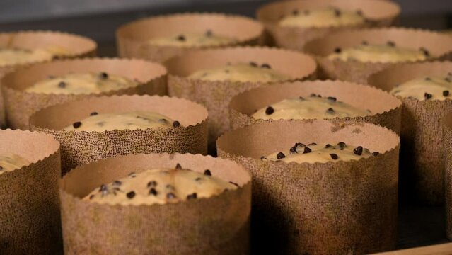 Bunch of raw leavened panettone italian christmas cake ready to bake. High quality 4k footage
