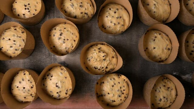 Top view of Bunch of raw leavened panettone italian christmas cake ready to bake. High quality 4k footage