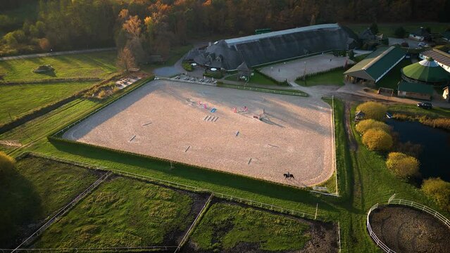 Group of thoroughbred horses walking and grazing in paddock near stable. Long evening afternoon shadow. Beautiful animals at farm or ranch. Aerial top view from drone