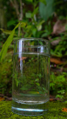 Glasses with water on a green plant background