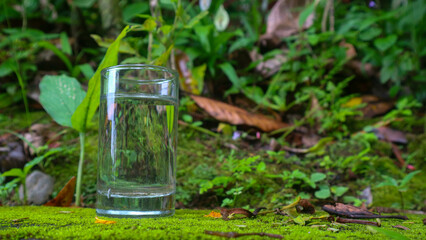 Glasses with water on a green plant background
