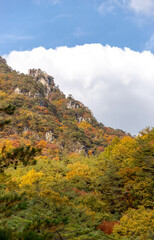 Fototapeta na wymiar autumn landscape in the mountains