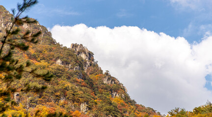 autumn in the mountain
