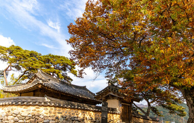 Fototapeta premium korea garden in autumn