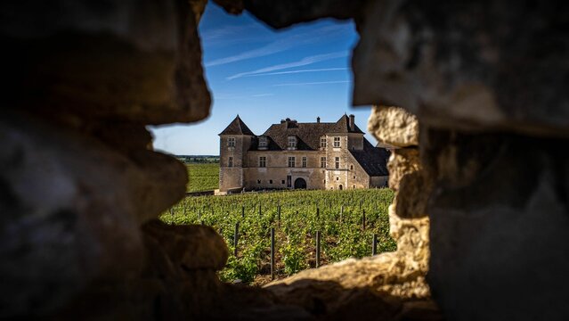 Chateau De Clos De Vougeot