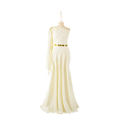 the evening dress is isolated on a white background