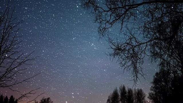 Fast moving stars and meteors at night sky behind leafless tree silhouette - Time lapse footage