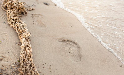 Fußspuren im Sand neben angeschwemmten Fischernetz.
Footprints in the sand next to washed up fishing net.