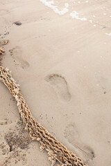 Fußabdruck am Strand neben Treibgut Netz.
Footprint on the beach next to flotsam net.