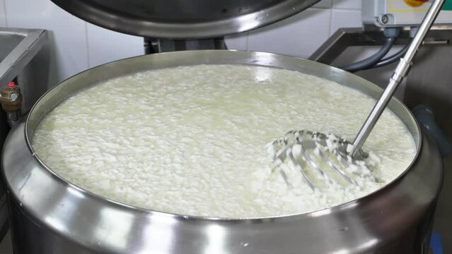 Making cheese from fresh milk at a private cheese factory. The process of mixing with a large whisk.