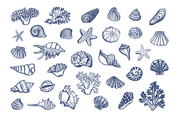 Shells, corals sea vector line illustartions set.