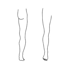 Human leg from front and back. Outline, anatomical, hand drawn illustration.