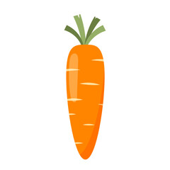 Carrot vector. Carrot on white background.