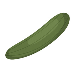Cucumber vector illustration on white background.
