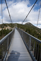 Fototapeta na wymiar Mile High Swinging Bridge located within Grandfather Mountain State Park, North Carolina