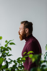 Side view of bearded model looking away near blurred plants isolated on grey.