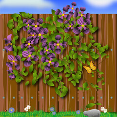 bloemen op hek, flowers on fence