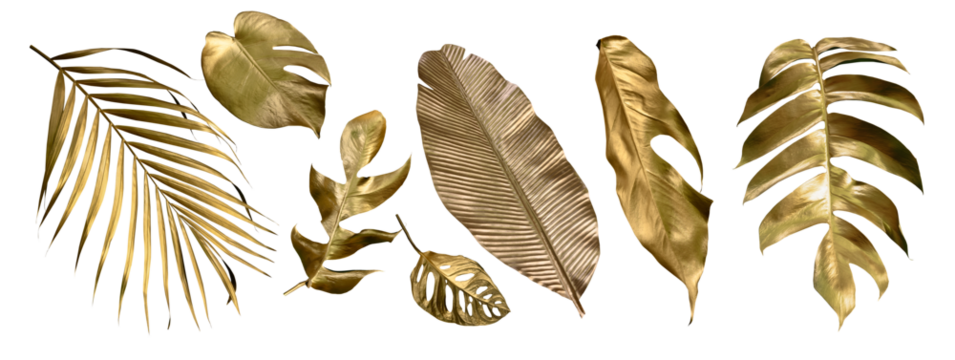 Golden tropical leaf PNG on transparent background Abstract monstera leaf decoration design, PNG