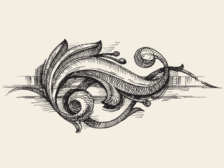 Vintage Baroque Ornament. Element of Ornament line drawing. Decorative leaves