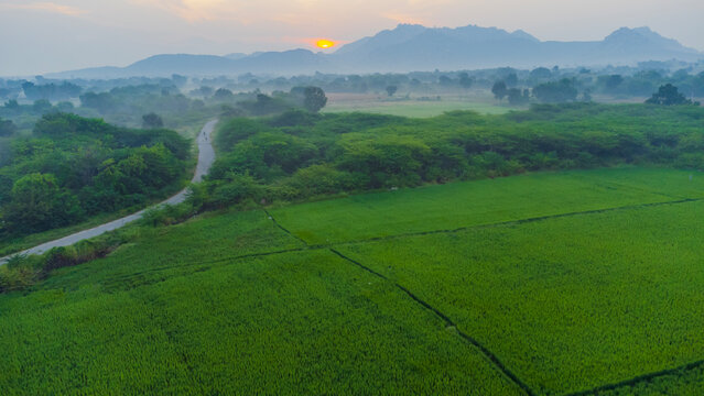 Beautiful HD Landscape images - Indian village wallpapers - agriculture filed 