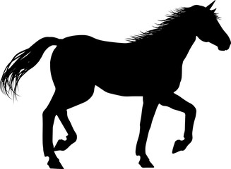 Horse Silhouette Animal © Christos Georghiou