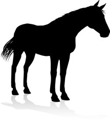 Horse Silhouette Animal
