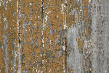 Obraz premium old textured wood