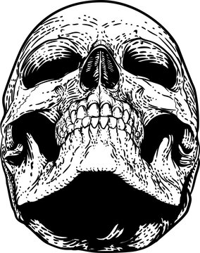 Skull Grim Reaper Vintage Woodcut Illustration