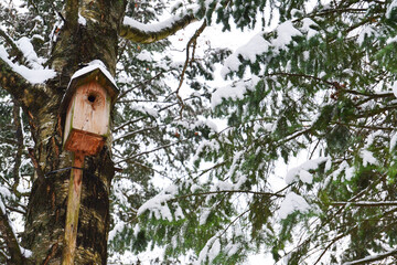 Birdhouse for birds on a tree in the winter forest