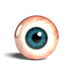 Front view of realistic human eyeball isolated on wihte background, 3D rendering