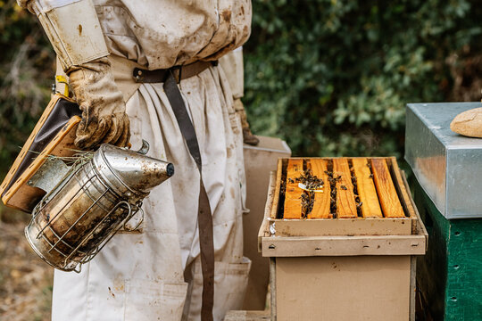 Anonymous beekeeper with bee smoke transmitter opening beehive