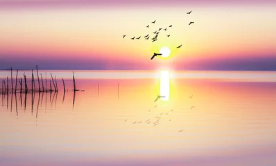 Poster Im Rahmen paisaje de un amanecer en el lago  © kesipun