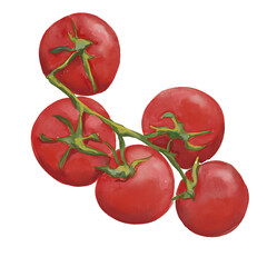 Watercolor food illustration of tomatos cherry