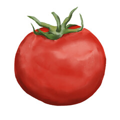 Watercolor food illustration of tomatos cherry