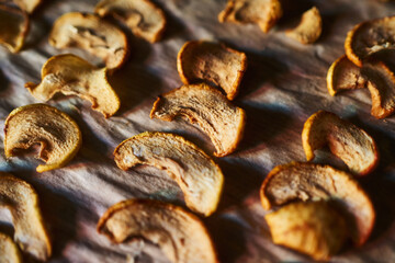 Dried apple slices. pieces of dried apples on a baking sheet