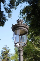 Fototapeta na wymiar Beautiful Lamp in Icod – Tenerife