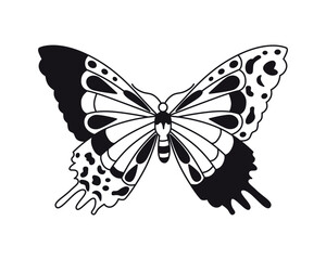 Fototapeta premium Butterfly. Vector drawing. Closeup. Used for web design 