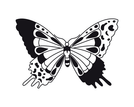 Butterfly. Vector drawing. Closeup. Used for web design 