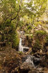 Naklejka na ściany i meble waterfall in the forest. WATERFALL ZÉ ´PIEGAS